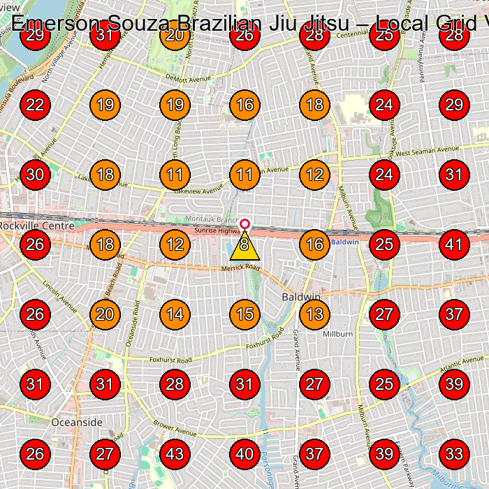 Emerson Souza Brazilian Jiu Jitsu GeoGrid visibility map for Fitness Center in Baldwin